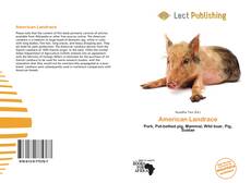 Bookcover of American Landrace