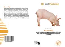Bookcover of Bazna (Pig)