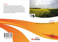 Portada del libro de Angrie