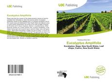 Eucalyptus Amplifolia的封面