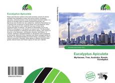 Capa do livro de Eucalyptus Apiculata 