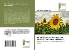 Bookcover of Mon identité est-elle le produit de mon histoire