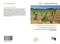 Portada del libro de Eucalyptus Badjensis