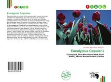 Couverture de Eucalyptus Copulans