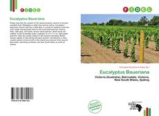 Eucalyptus Baueriana的封面