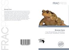 Bronze Caco的封面