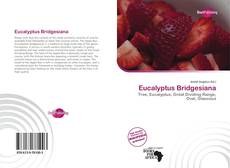 Обложка Eucalyptus Bridgesiana