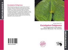 Buchcover von Eucalyptus Caliginosa