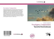 Couverture de Eucalyptus Campanulata