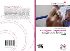 Couverture de Eucalyptus Dalrympleana