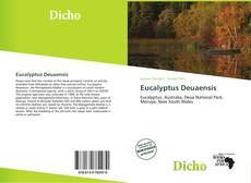 Copertina di Eucalyptus Deuaensis