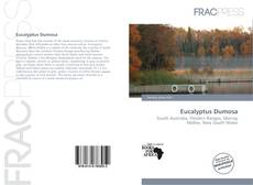 Eucalyptus Dumosa的封面