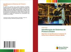 Identificação de Sistemas de Primeira Ordem的封面