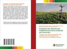 Bookcover of Irrigação com efluente pós tratamento terciário composto por biocarvão