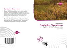 Обложка Eucalyptus Glaucescens