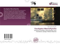 Copertina di Eucalyptus Macrorhyncha