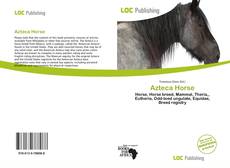 Buchcover von Azteca Horse