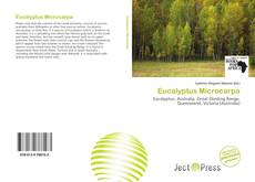 Borítókép a  Eucalyptus Microcarpa - hoz