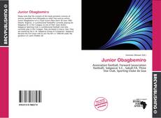 Buchcover von Junior Obagbemiro