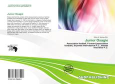 Buchcover von Junior Osagie