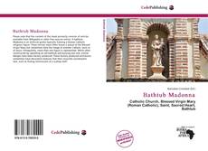 Обложка Bathtub Madonna