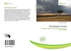 Eucalyptus Ovata的封面