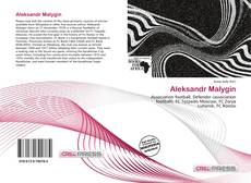 Aleksandr Malygin kitap kapağı