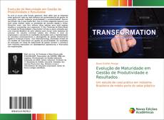 Bookcover of Evolução de Maturidade em Gestão de Produtividade e Resultados