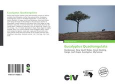 Portada del libro de Eucalyptus Quadrangulata