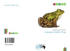 Couverture de Common Puddle Frog