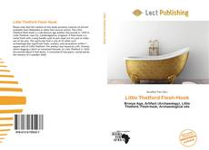 Bookcover of Little Thetford Flesh-Hook