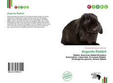 Couverture de Argente Rabbit