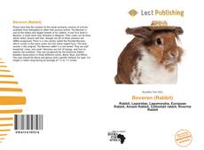 Beveren (Rabbit)的封面