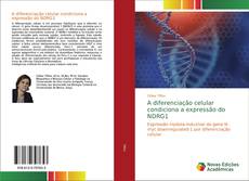 A diferenciação celular condiciona a expressão do NDRG1 kitap kapağı