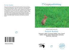 Обложка Polish Rabbit