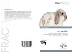 Copertina di Dutch Rabbit
