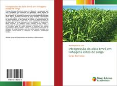 Borítókép a  Introgressão do alelo bmr6 em linhagens elites de sorgo - hoz