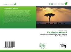 Couverture de Eucalyptus Wilcoxii