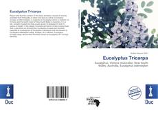 Bookcover of Eucalyptus Tricarpa