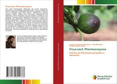 Borítókép a  Ficus sect. Pharmacosycea - hoz