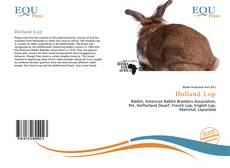 Holland Lop kitap kapağı