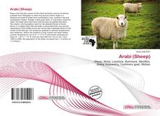 Copertina di Arabi (Sheep)