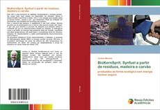 Buchcover von BioKernSprit. Synfuel a partir de resíduos, madeira e carvão