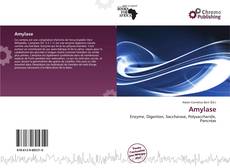 Copertina di Amylase