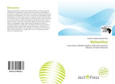Couverture de Bellwether