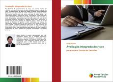 Avaliação integrada de risco kitap kapağı