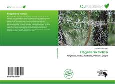 Bookcover of Flagellaria Indica