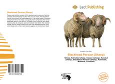 Blackhead Persian (Sheep)的封面