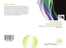 Couverture de Saumure (Route)