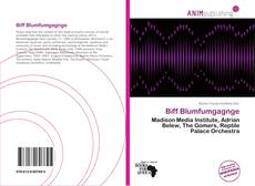 Couverture de Biff Blumfumgagnge